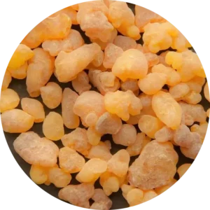 Boswellia